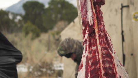 primer plano de la carne del ciervo cazado que se extrae en el campamento de caza