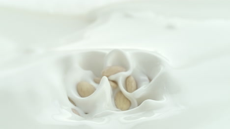 blanched almonds falling into creamy milk making splash and sinking in macro and slow motion