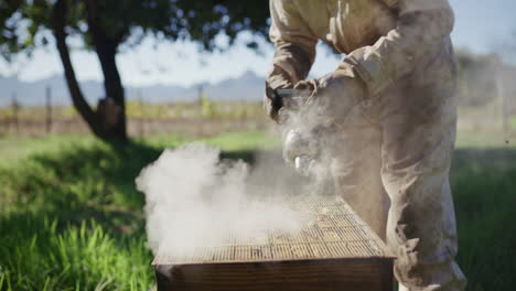 an unrecognizable male beekeeper working