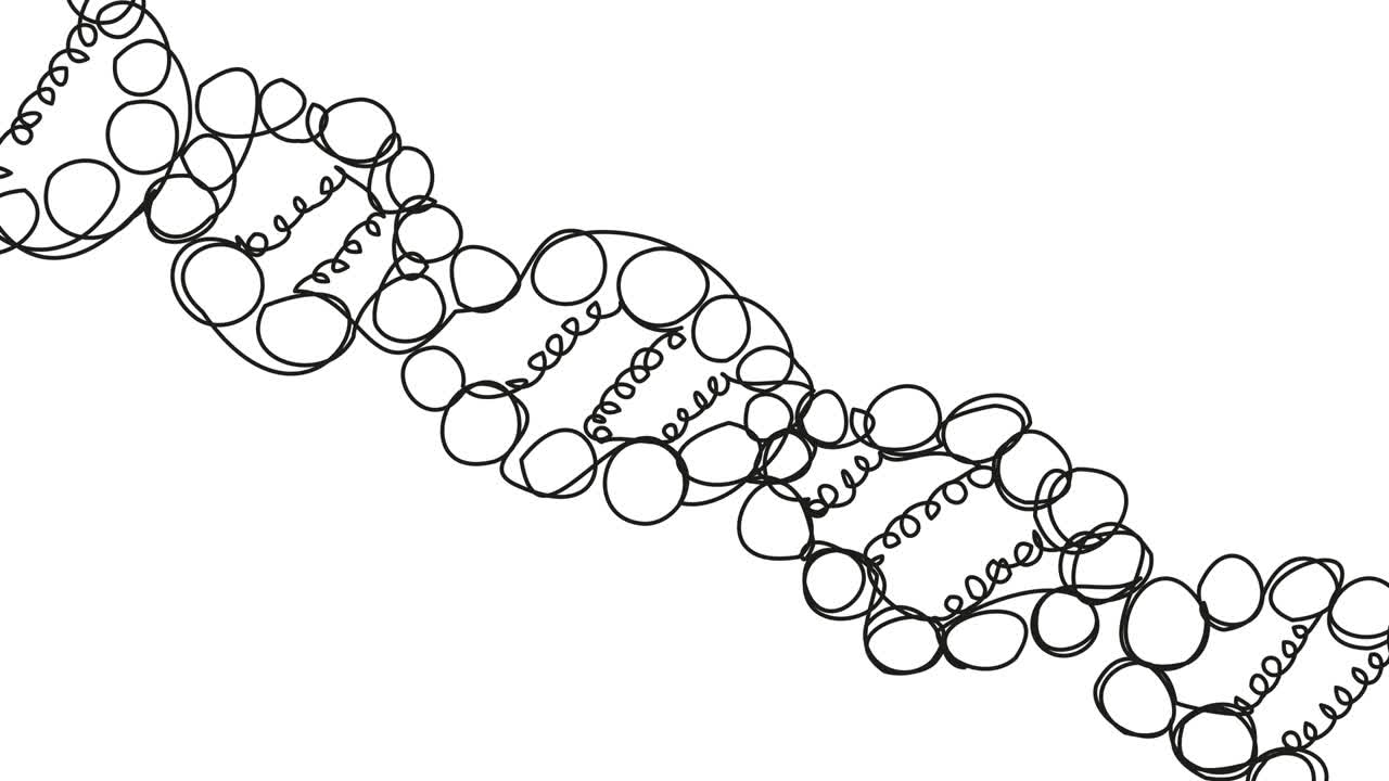 círculos auto-dibujados en forma de adn.