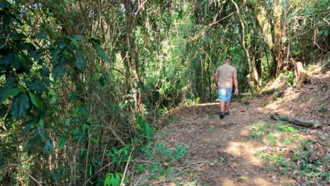 man walking on trail in forest, healthy life in nature, healthy fitness lifestyle