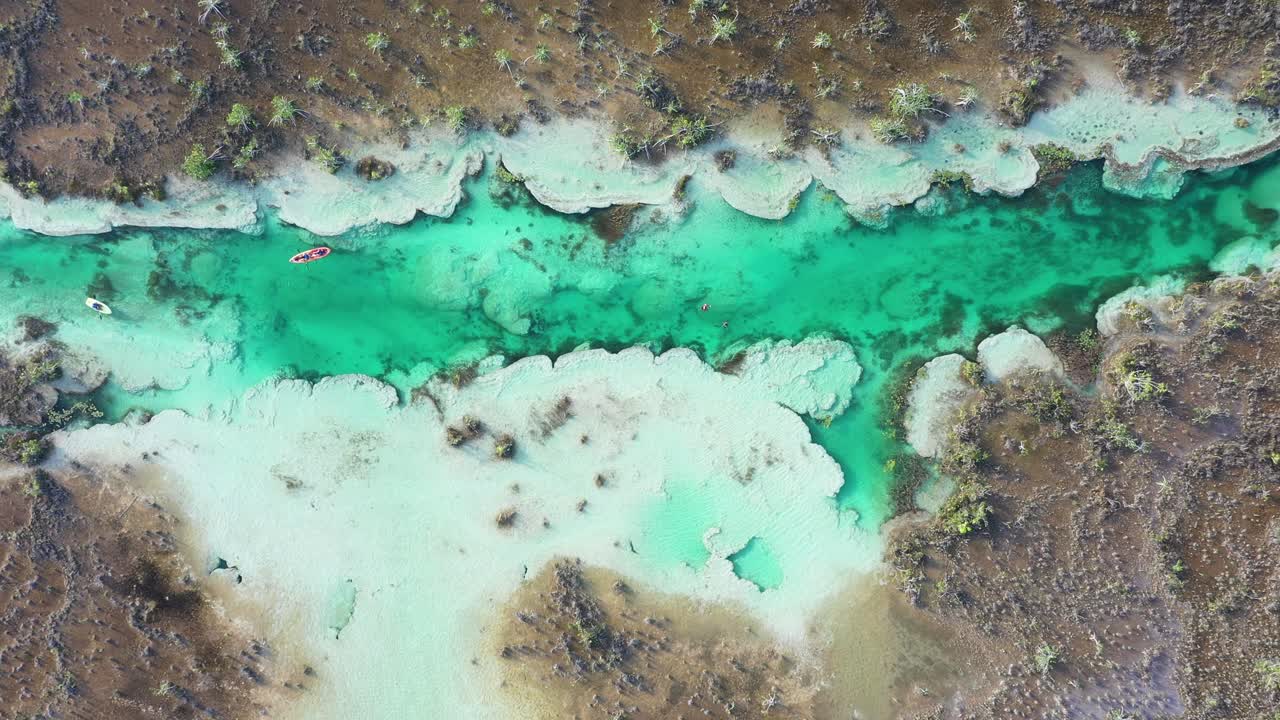 vista aérea de arriba hacia abajo del exótico cenote tropical en la región del lago de la laguna bacalar en quintana roo, méxico