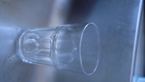 vertical video of monomorium ants drink from the drop of tea left in a clear glass cup