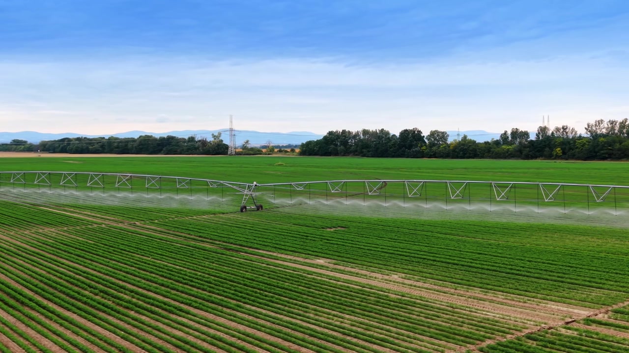 Système d'irrigation à pivot central arrosant un champ agricole verdoyant. Vue aérienne d'un arroseur à pivot automatisé pulvérisant de l'eau sur des cultures vertes sous un ciel bleu.