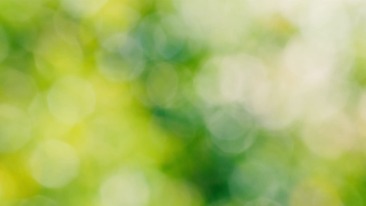 luz del sol fondo biológico amarillo, abstracto follaje borroso luz del sol