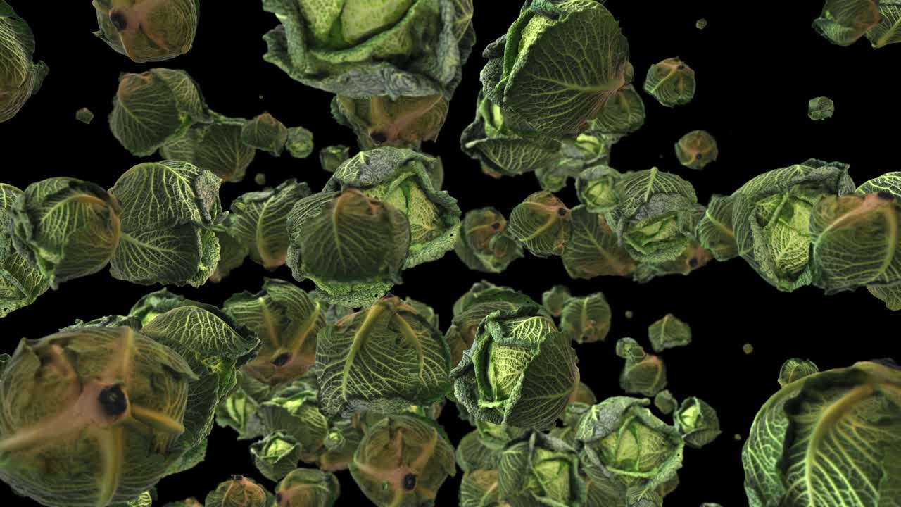 사보이 고기 배경 4k