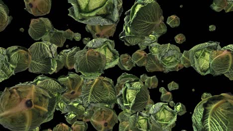 savoy cabbage background 4k