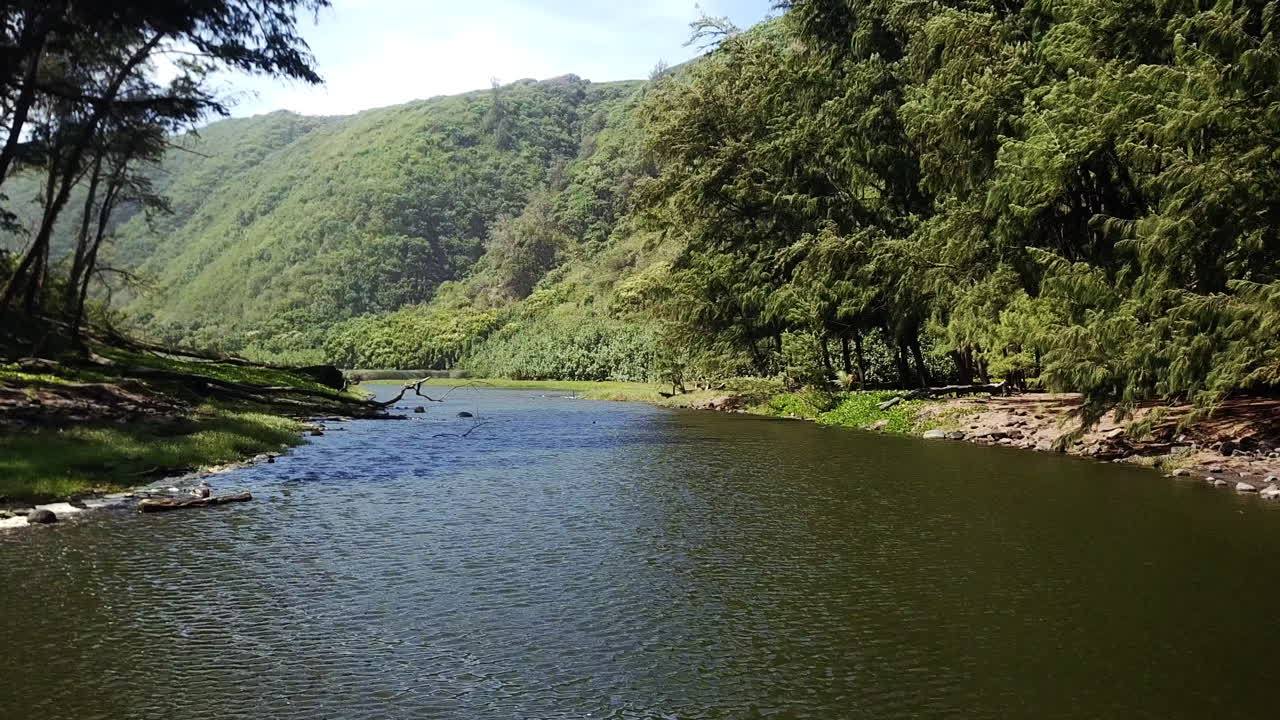 Ripresa aerea veloce e bassa di un fiume tra verdi colline nella Pololu Valley, Hawaii