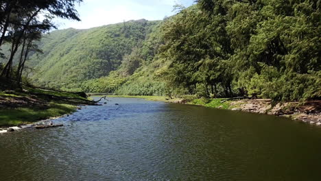 Fast-low-aerial-shot-of-river-by-green-hills-at-Pololu-Valley,-Hawaii