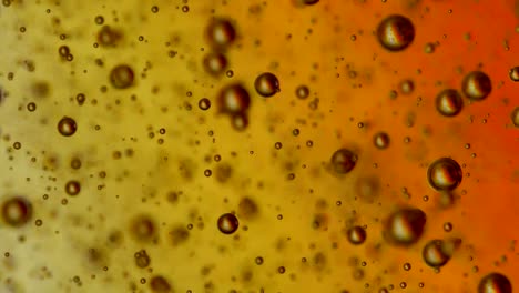 carbonated ascending in a liquid with a background that changes colors