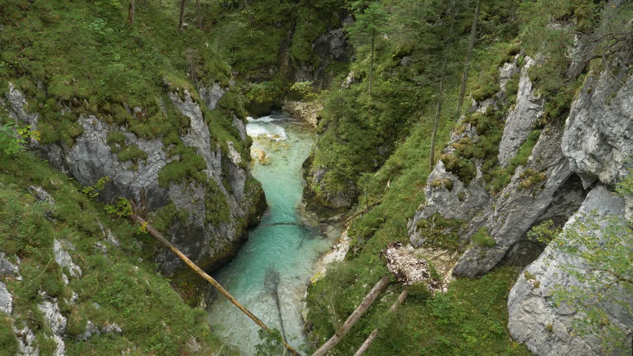 Torrente cristallino con alberi caduti, in Germania.