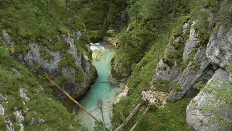 Crystal-clear-river-stream-flowing-in-creek-with-fallen-trees,-Germany