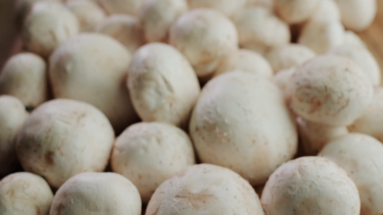 champiñones frescos en una mesa