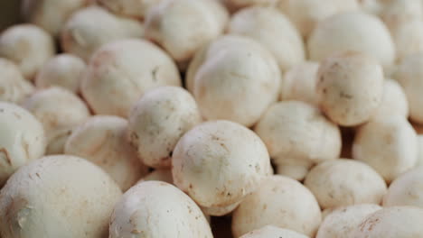 Fresh-mushrooms-on-a-table