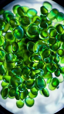 close-up of green beads under microscope
