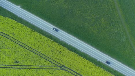 top down shot of driving cars at a rural road along a yellow blooming rapeseed field, authentic springtime scenery