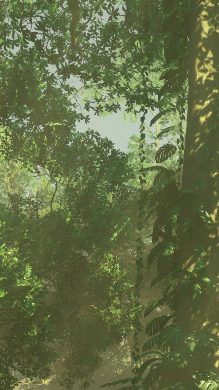 Foresta verde lussureggiante con alberi fitti e liane, illuminata da luce naturale di giorno.