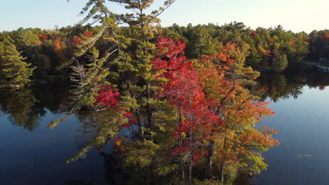 Drone-Volando-Sobre-Un-Hermoso-Lago-Y-Copas-De-Los-árboles-En-El-Bosque-Canadiense