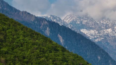 Dense-green-forest-on-Italian-alp-ridgeline-with-pointed-mountain-backdrop