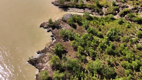 Wunderschöner-Mangrovenwald-Und-Bach-Im-Nordwesten-Australiens-2