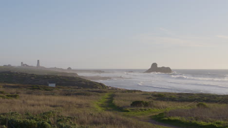 stationary shot of waves rolling into the grassy shores of big sur beach california