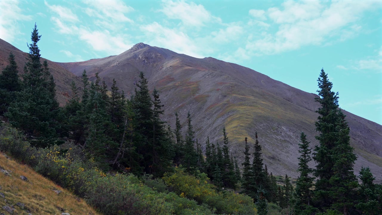 Paesaggio naturale delle cime del Monte Belford (14er), escursioni all'aperto sul sentiero Missouri Gulch, mattina estiva con cielo blu e nuvole, nelle Collegiate Peaks del Colorado, Montagne Rocciose, Catena Sawatch, con elementi di campeggio e tundra