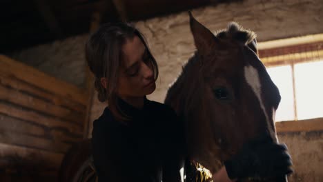 woman caring for a horse in a stable