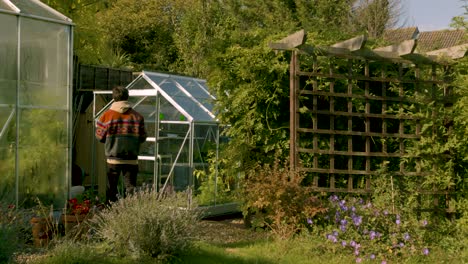 adult male walks into a green house to check on plants with a hot drink in hand