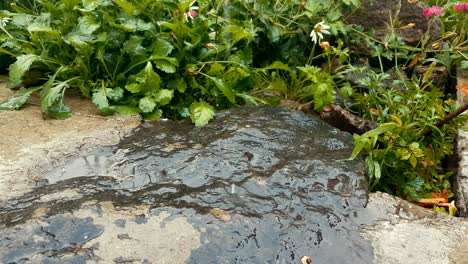 drops of rain fall on the granit stone in the garden. drops of water drip onto wet stone. loop, dynamic scene, toned video.