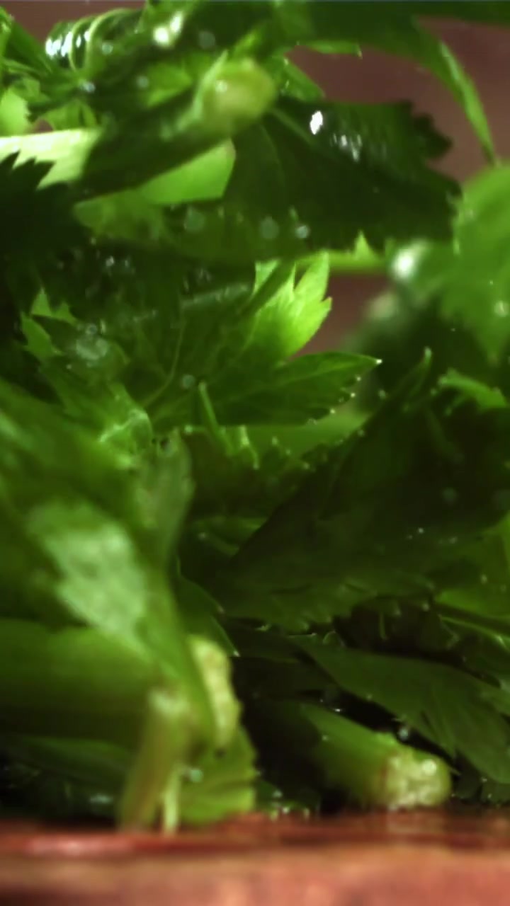 Water Splashing on Fresh Green Celery Leaves