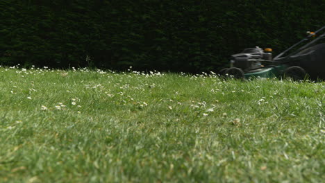 medium, slider shot of a man mowing the grass on a sunny day