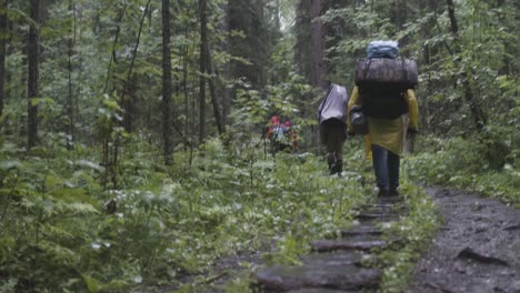 excursionistas en un bosque lluvioso