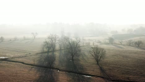 trees in morning fog, silhouettes on meadow in sunrise, winter landscape of rural countryside, no snow, aerial view