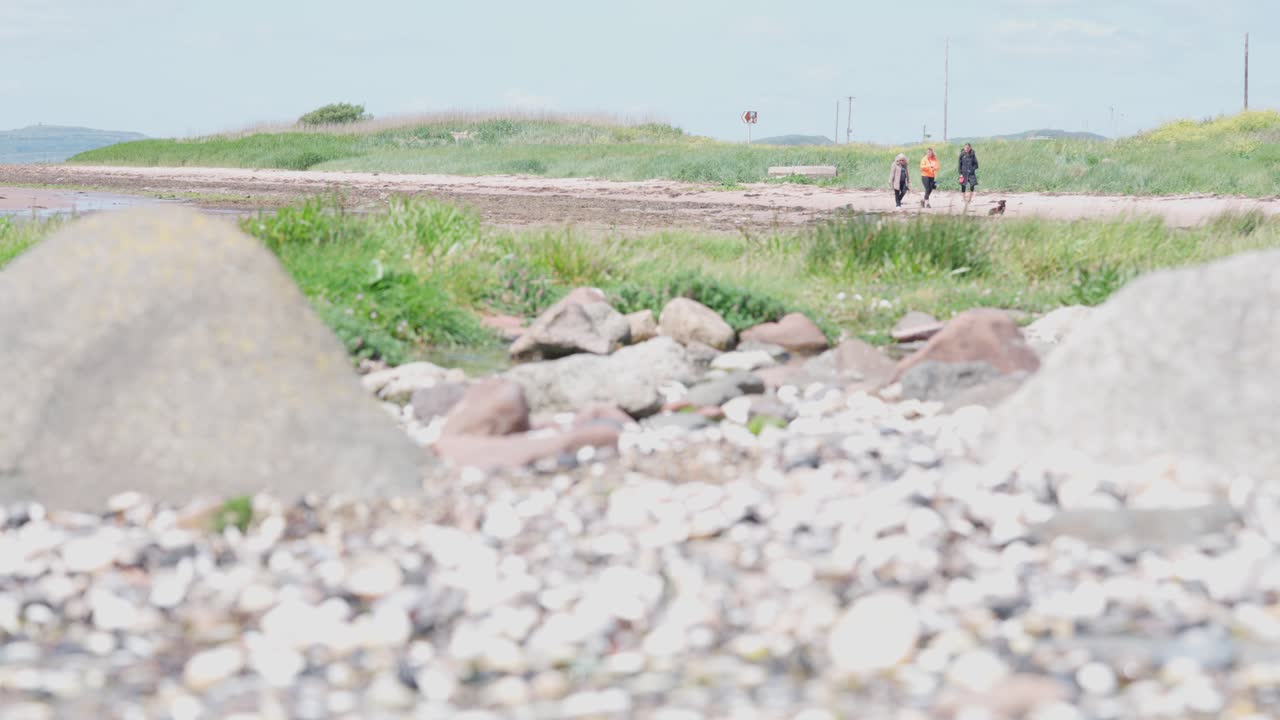 Pebble beach, family pet outings, nature walks, exercising lifestyles