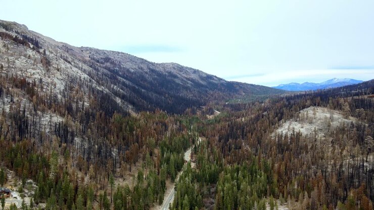 Veduta aerea dell'Echo Summit della Highway 50, all'indomani dell'incendio Caldor.