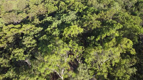 Eingang-Zu-Einem-Naturschutzpark-In-Queensland,-Australien