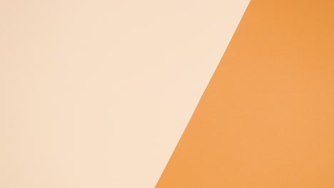 green palm leaf appear on nude orange background. tropic exotic flat lay concept. stop motion