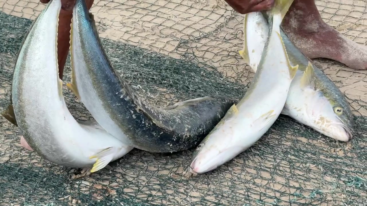 Fishing on the coast of Southern Africa