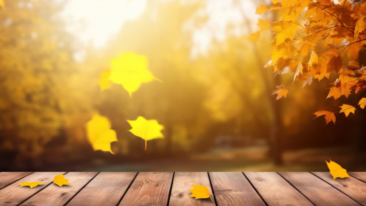 Warm autumn scene with falling leaves captured from a low angle