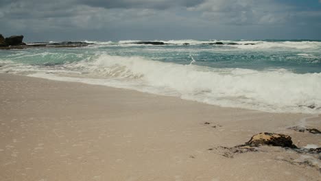 crashing waves on the african shoreline