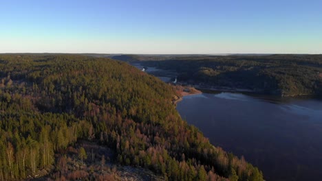 beautiful aerial view from swedish lake and forest