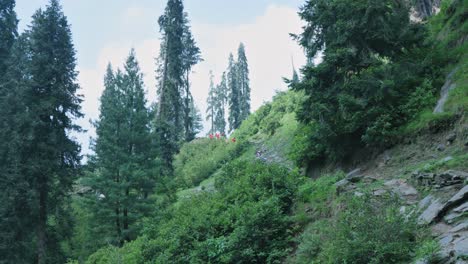 Pan shot of lush greenery on hills at Swat Valley of Pakistan