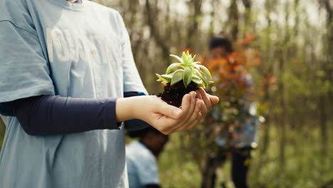 Cute-child-activist-presenting-a-small-seedling-tree-in-her-hands