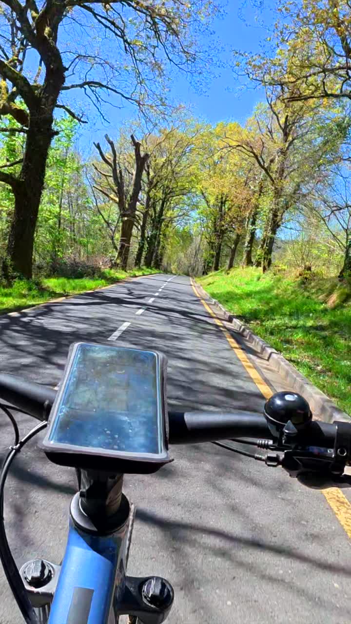 Biking on a road surrounded by trees