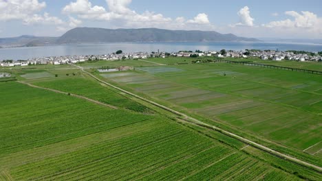 fields and villages in dali, yunnan, china.