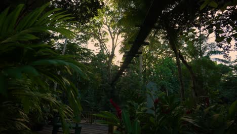 pedestrian suspension  bridge in jamaica | ocho rios coast | dunn’s river falls & park | tranquility garden.