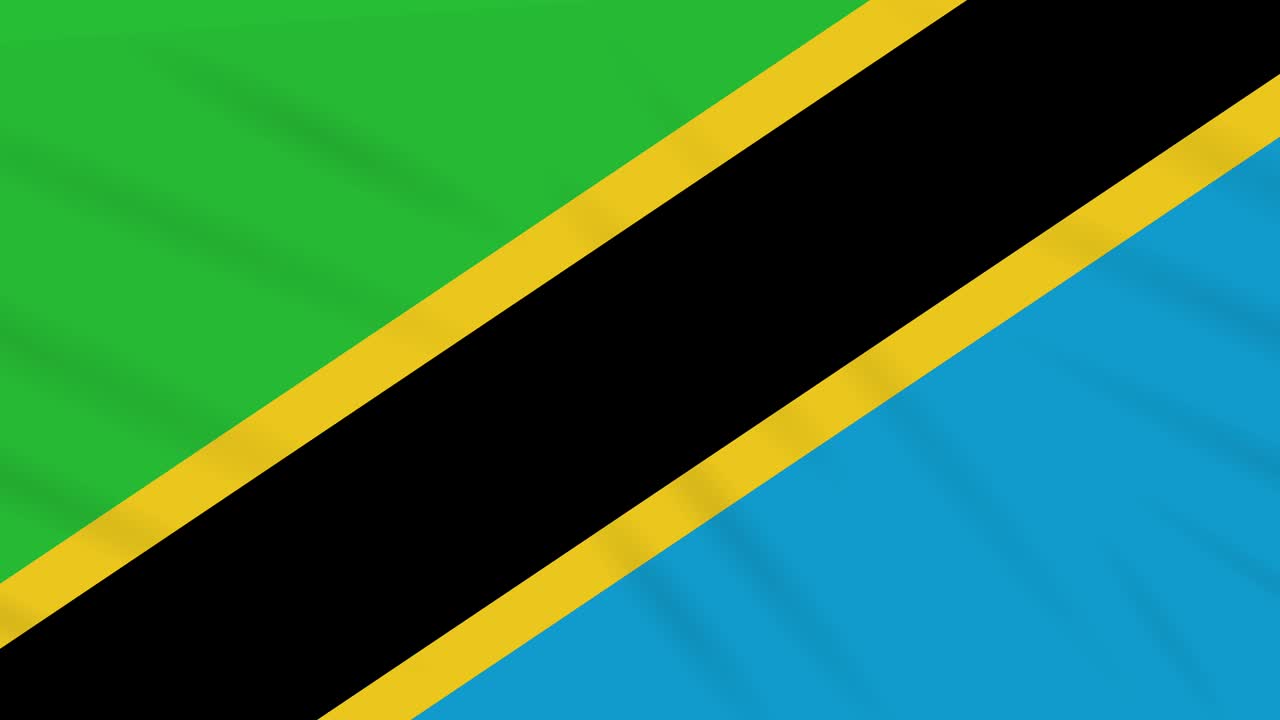 Tanzania flag waving cloth, background loop