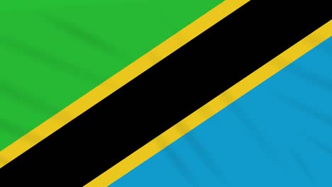 tanzania flag waving cloth, background loop