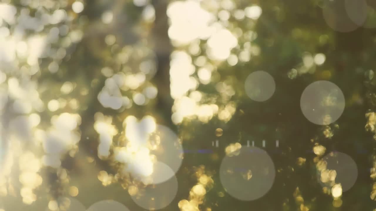 렌즈 플레어의 애니메이션은 배경에 있는 초록색 울창한 나무의 흐릿한 시야를 통해