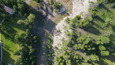 río al atardecer rodeado de árboles de hoja perenne que proyectan largas sombras